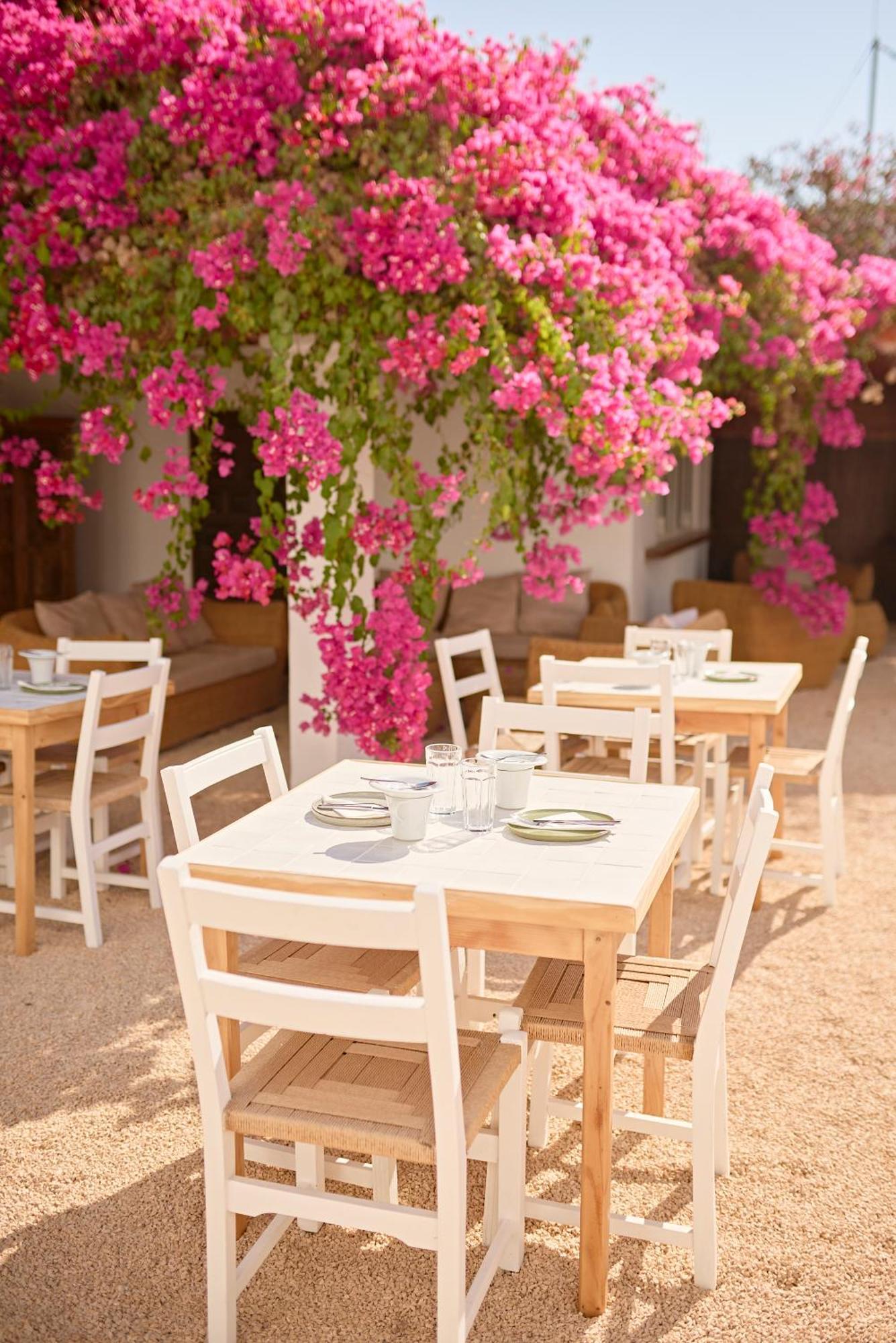 Ibara Ibiza Hotel Boutique Es Cana Dış mekan fotoğraf