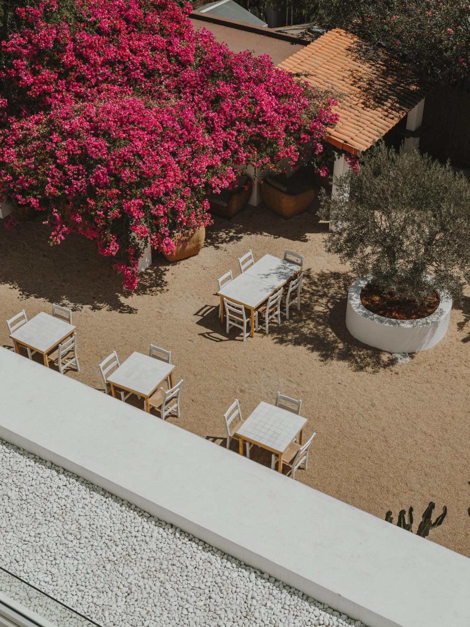 Ibara Ibiza Hotel Boutique Es Cana Dış mekan fotoğraf